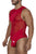 CandyMan 99699 Mesh Bodysuit Color Red