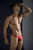 Clever 10009 7PK Pride Thongs Color Multi-colored
