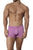 Clever 1560 Malba Boxer Briefs Color Grape