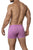 Clever 1560 Malba Boxer Briefs Color Grape