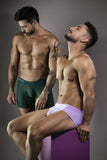 Clever 1776 Venecia Briefs Color Lilac