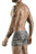 Clever 1800 Cebra Trunks Color Gray