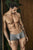 Clever 1842 Buenavista Trunks Color Gray