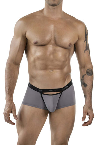 Clever 1866 Tokio Trunks Color Gray