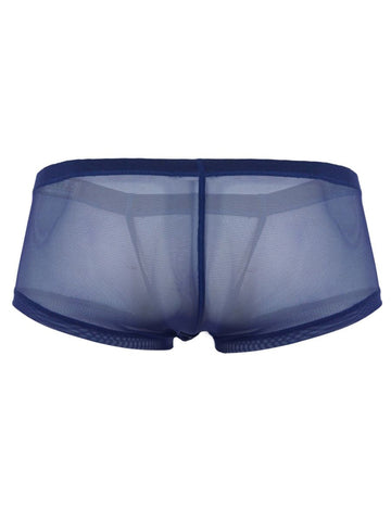 Clever 26067 3PK Australian Latin Trunks Color Multi-colored