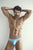 Clever 519967 7PK Briefs Color Multi-colored