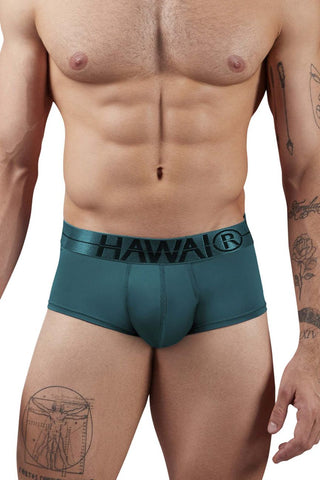 HAWAIR 41961 Microfiber Briefs Color Green