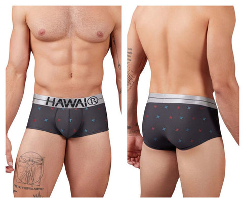 HAWAIR 42530 Printed Microfiber Briefs Color Gray