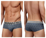 HAWAIR 42531 Cotton blend Briefs Color Gray