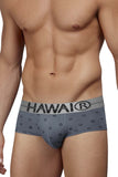 HAWAIR 42531 Cotton blend Briefs Color Gray