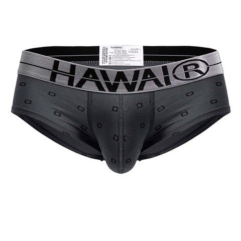 HAWAIR 42531 Cotton blend Briefs Color Gray