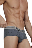 HAWAIR 42531 Cotton blend Briefs Color Gray