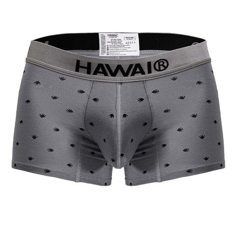 HAWAIR 42571 Cotton blend Trunks Color Gray