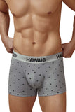 HAWAIR 42571 Cotton blend Trunks Color Gray