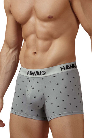 HAWAIR 42571 Cotton blend Trunks Color Gray