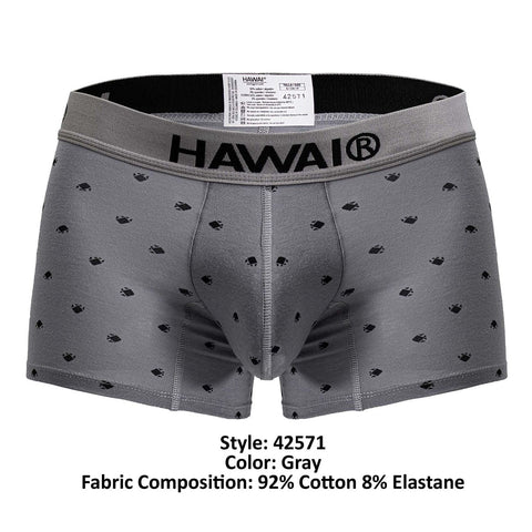 HAWAIR 42571 Cotton blend Trunks Color Gray