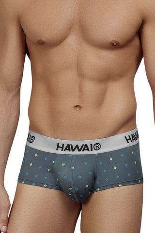 HAWAIR 42580 Microfiber Briefs Color Gray