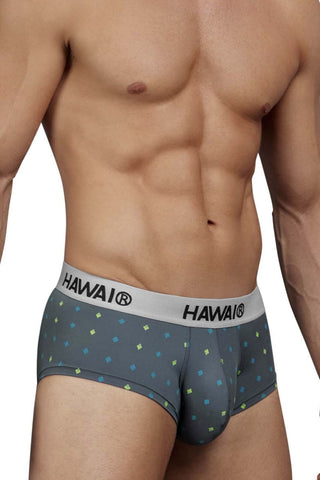 HAWAIR 42580 Microfiber Briefs Color Gray