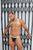 JOR 1727 Orion Jockstrap Color Black