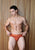 JOR 1861 Element Briefs Color Terracotta