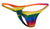 JUSTIN+SIMON XSJ03 Classic Thongs Color Pride Flag