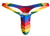 JUSTIN+SIMON XSJBU02 Bulge Thongs Color Pride Flag