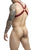 MaleBasics DMBL07 DNGEON Cross Cockring Harness Color Red