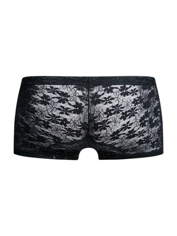 MaleBasics MBL78 Lace Trunks Color Black Lace