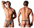 Male Power 439-295 Go Wild Thong with 2 Rings Color Multi Animal