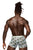 Male Power SMS-011 Sheer Prints Seamless Short Color Flamingo