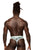 Male Power SMS-012 Sheer Prints Thong Color Flamingo