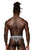 Male Power SMS-012 Sheer Prints Thong Color Optical