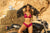Mapale 2783 Two Piece Set Color Fierce Fuchsia