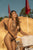 Mapale 2801 Bodysuit Color Bohemian Mystique