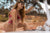Mapale 7609X Babydoll Color Seductive Garden