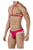 Pikante PIK 0495 Hot Harness Briefs Color Red