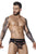 Pikante PIK 1093 Oomph Mesh Briefs Color Black