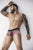 Pikante PIK 1096 Clandestine Velvet Trunks Color Pink