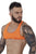 Pikante PIK 1272 Sonar Crop Top Color Orange