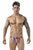 Pikante PIK 1829 Abstract Thongs Color Purple