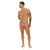 Unico 23050201103 Talante Briefs Color 29-Coral