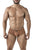 Xtremen 91240 Microfiber Trunks Color Brown