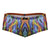 Xtremen 91249 Printed Trunks Color Waves